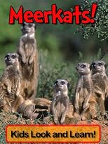 Meerkats! Learn About Meerkats and Enjoy Colorful Pictures - Look and Learn! (50+ Photos of Meerkats)