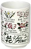 ものしり湯呑 中切立ものしりシリーズ 花英語 MS-15644