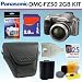 Panasonic Lumix DMC-FZ50S - Digital camera - prosumer - 10.0 Mpix - optical zoom: 12 x - supported memory: MMC, SD, SDHC - silver