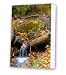 Kitchen & Housewares : Friday street stream canvas print artwork
