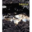 うまれたよ！アリ<br>山口 進写真 小杉 みのり構成・文 <br>岩崎書店<br>2310円<br>ISBN:9784265020430
