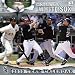 Chicago White Sox 2010 12x12 Team Wall Calendar