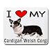I Love My Cardigan Welsh Corgi