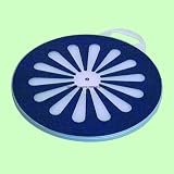 SafetySure Transfer Pivot Disk