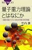 量子重力理論とはなにか (ブルーバックス)