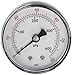 Pentair 33600-0023T 2-Inch Pressure Gauge Replacement for select Sta-Rite Pool and Spa Filters
