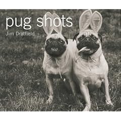 Pug Shots