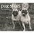 Pug Shots