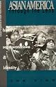 Asian America through the Lens: History, Representations, and Identities (Critical Perspectives on Asian Pacific Americans)