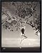 Books : Patrick Demarchelier: Photographs