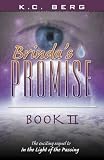 Brinda's Promise: Book II