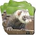 FERRET PRINT BIRTHDAY GIFT Set of 4 Leather Coasters