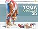 Produkt-Bild: Yoga-Anatomie 3D: Band 2: Die Haltungen