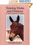 Training Mules and Donkeys : A Logical Approach to Longears