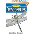 Dragonflies (Wild Guide) by Cynthia Berger and Amelia Hansen