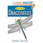 Click here to buy Dragonflies (Wild Guide) by  Cynthia Berger and Amelia Hansen.