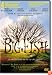 Big Fish