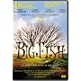 Big Fish