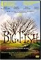 Big Fish
