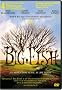 Big Fish