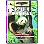 Nature: Pandas