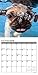 Underwater Puppies 2015 Mini Calendar
