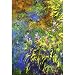 Claude Monet Iris at the Water-Lily Pond 2 Art Print Poster - 13x19