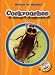 Book Cockroaches (Blastoff! Readers) (World of Insects) (World of Insects)