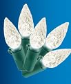 Philips 60ct LED Lights Soft White - Green Wire