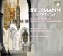 Telemann: Cantatas from the Harmonische