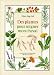 Des plantes pour soigner mon cheval