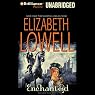 Enchanted: Medieval Trilogy #3