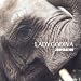 Godiva-Zooperation