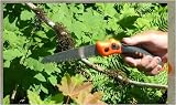 Folding Pruning Saw Garden Tool 51BHwjy0F5L. SL160 Folding Pruning Saw Garden Tool