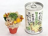 【送料無料】パンの缶詰とプリザのコラボ（抹茶）