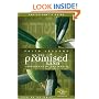 Faith Lessons on the Promised Land (Church Vol. 1) Participant's Guide