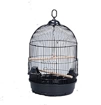 ROUND BIRD CAGE Cockatiel Lovebird Finch Canary 13