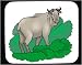 Mouse Pad with caribou, mammal, goat, animal, horns Image