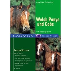 Welsh Ponys und Cobs