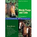Welsh Ponys und Cobs