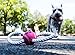 Dog Toy for Small Dogs and Puppies by Mary & Kate Pets; Interactive Tug of War Rope, Great for Fetch and Puppy Training