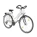 PERFORMANCE Damen-Trekkingrad, 21-Gang 26 Zoll