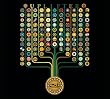 Uplifter (CD/DVD)