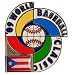 World Baseball Classic Puerto Rico 2009 World Baseball Classic Logo Pin with Flag
