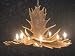 Moose 6 Antler Chandelier