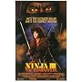 Ninja III: The Domination