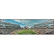 New England Patriots "NFL's Longest Winning Streak vs. Dolphins" Panoramic Standard Framed Photograph