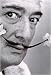 Artist Salvador Dali Fine Art Poster Print of Painting Self Portrait