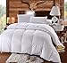 Royal Hotel Bedding Queen Size Down-Comforter 500-Thread-Count Down Comforter 100 Percent Cotton 500 TC - 750FP - 50Oz - Solid White