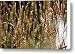 Golden Waves Canvas Print / Canvas Art - Artist Lauri Novak